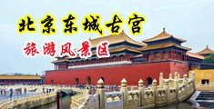 男人大屌狠狠插美女中国北京-东城古宫旅游风景区